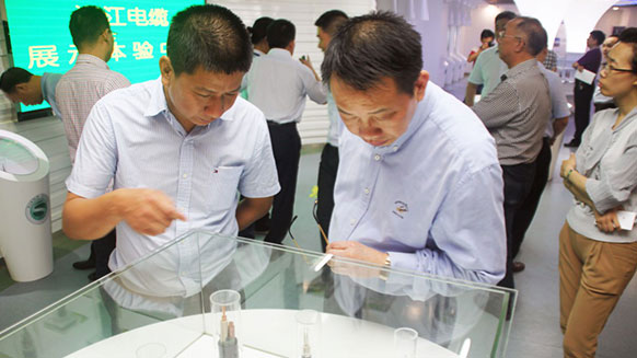長沙市委領(lǐng)導(dǎo)考察湘江電纜高壓電力電纜生產(chǎn)工作 長沙市委領(lǐng)導(dǎo)考察湘江電纜高壓電力電纜生產(chǎn)工作