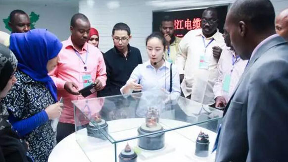 非洲蘇丹訪問團(tuán)蒞臨我集團(tuán)湘江電線電纜公司參觀學(xué)習(xí)