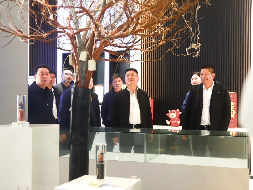 廣東省揭西縣縣委書記陳曉青領(lǐng)導(dǎo)一行來我司考察指導(dǎo)