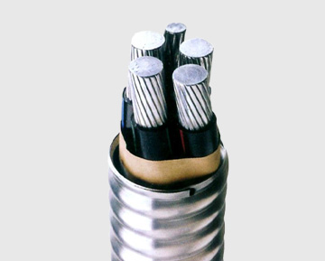 聚氯乙烯護(hù)套聯(lián)鎖鎧裝鋁合金電纜 聚氯乙烯護(hù)套聯(lián)鎖鎧裝鋁合金電纜